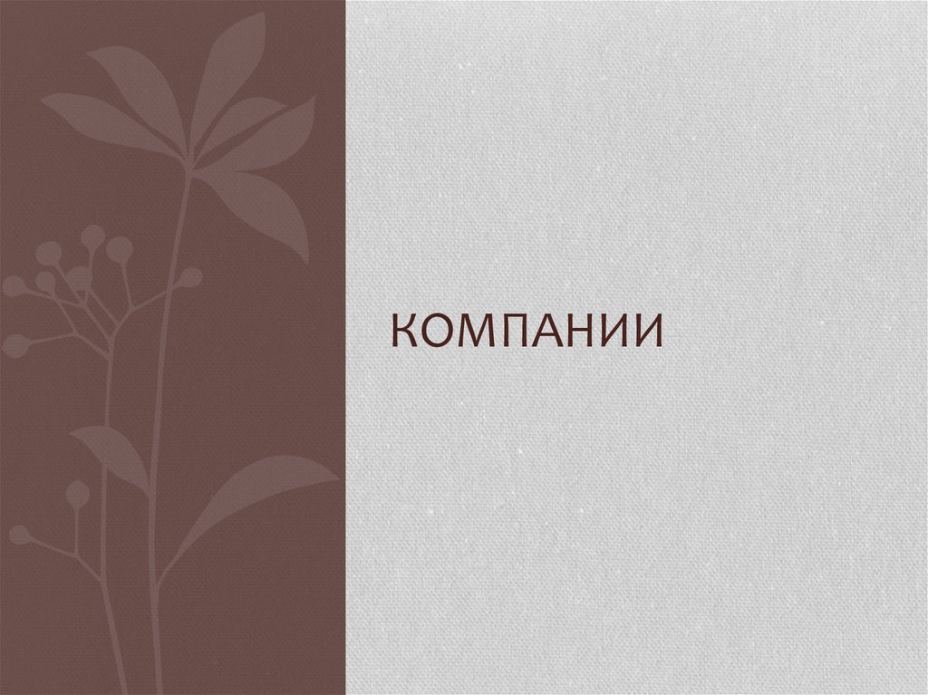 компании