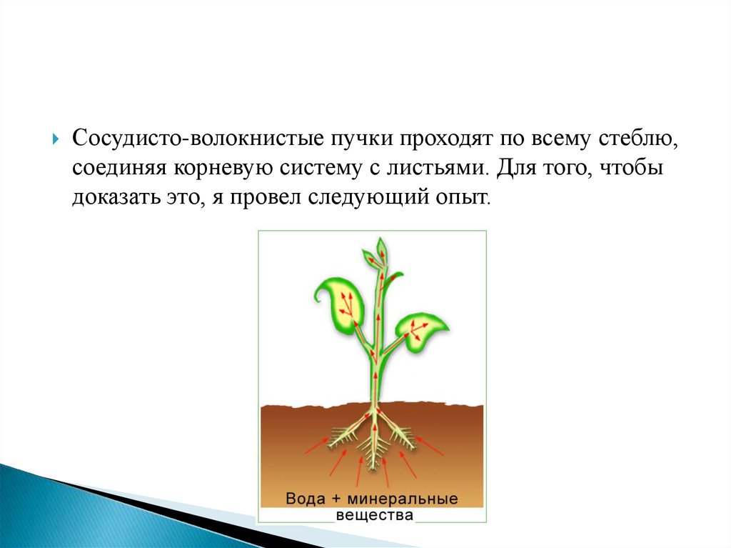 Передвижение по воде 1 класс технология презентация