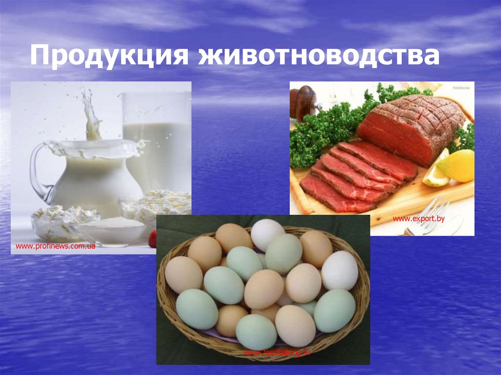 Презентация продукция животноводства