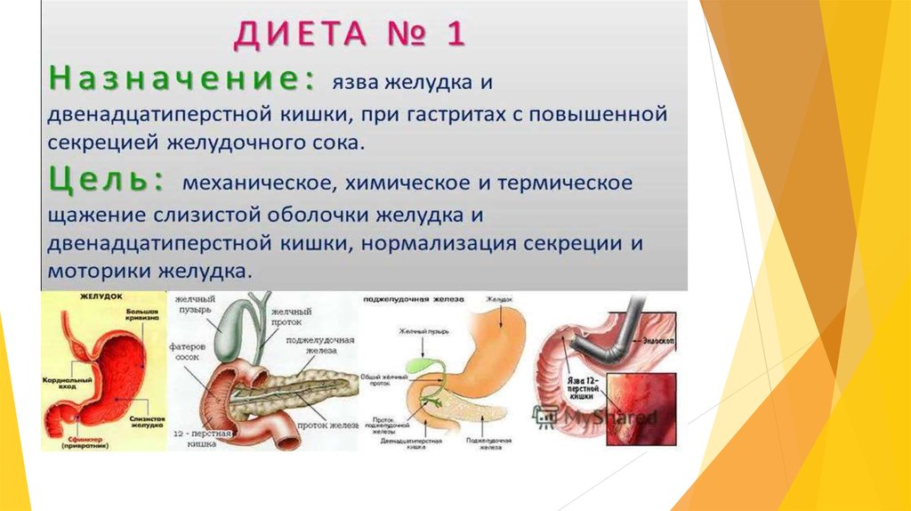 Диетотерапия при хронических гастритах презентация