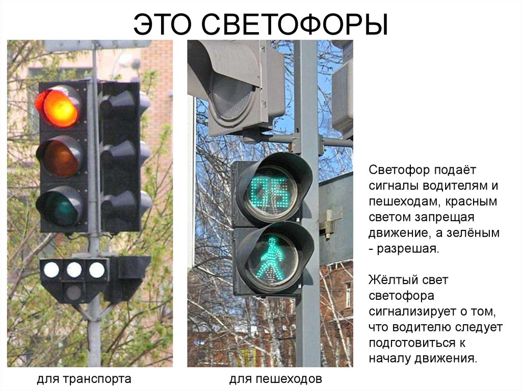 Светофор для маршрутных транспортных средств