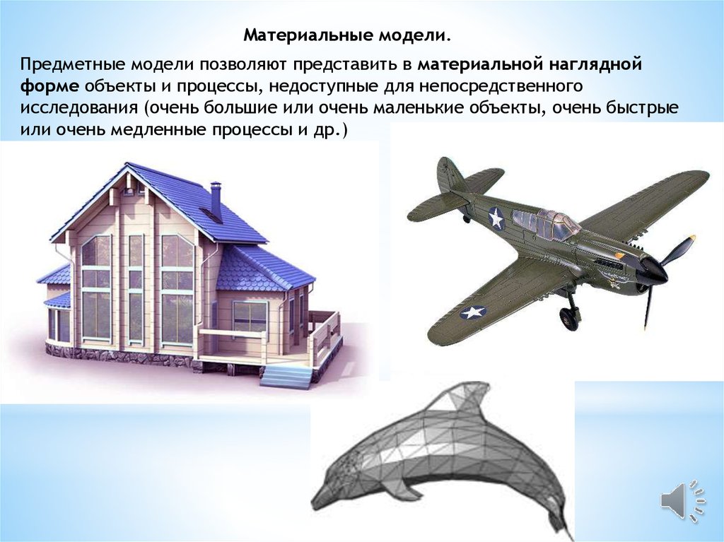 Предметной моделью является анатомический муляж карта диаграмма чертеж