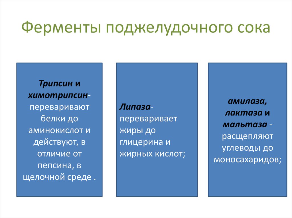 Панкреатический фермент расщепляющий углеводы. Ферменты панкреатического сока и их функции. Ферменты панкреатического сока таблица. Фермент кишечного сока трипсин. Ферменты сока поджелудочной железы расщепляют.