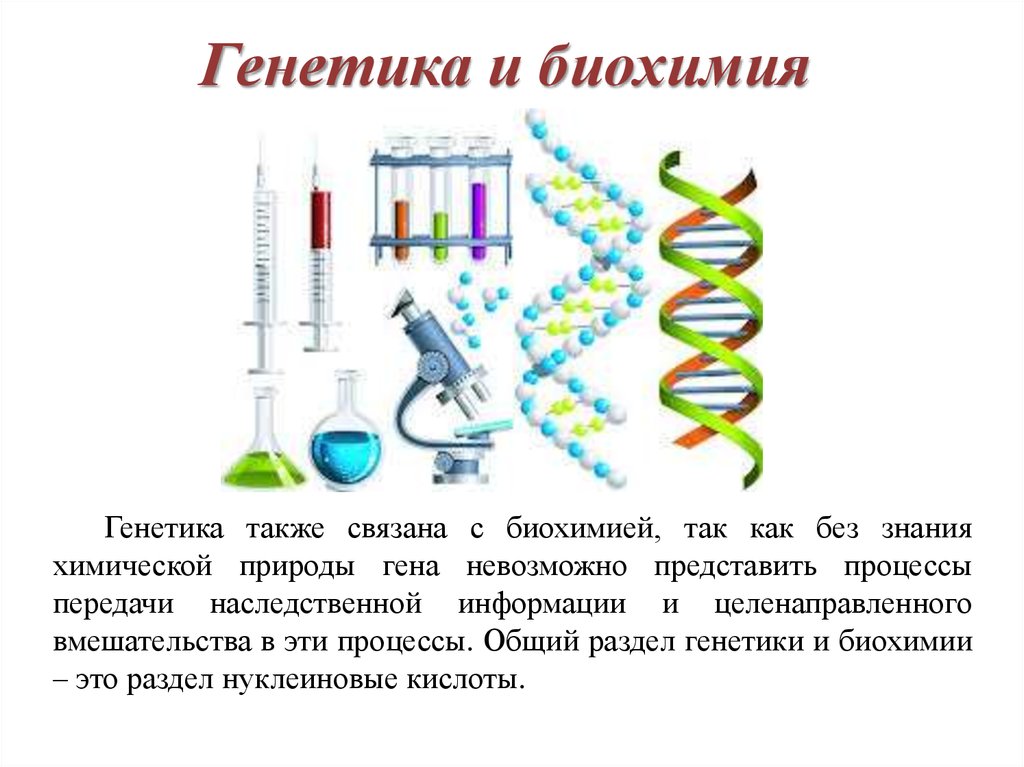 Химия и генетика человека презентация