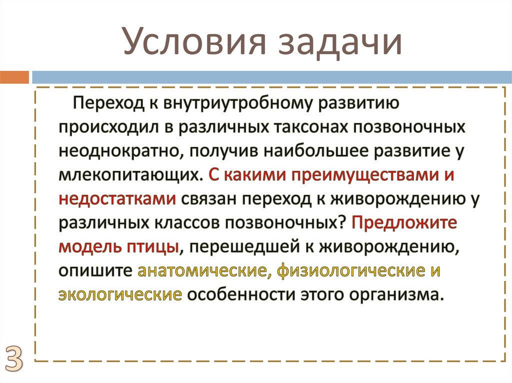 Условия задачи