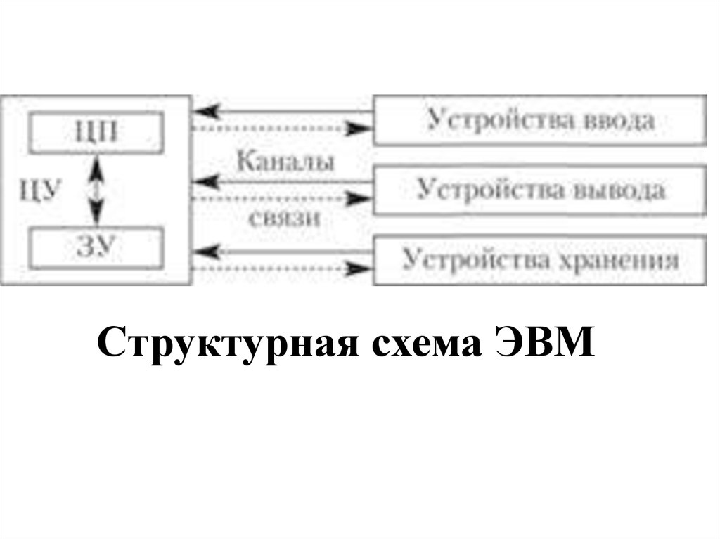 Структурная схема эвм в общем случае включает в себя