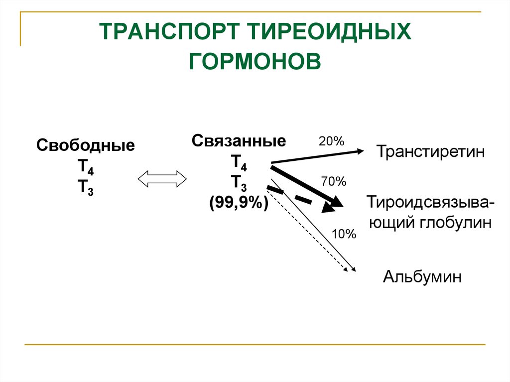 Схема синтеза тиреоидных гормонов