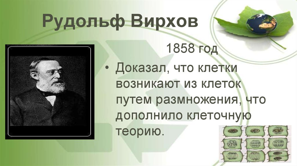 Докажите что клетка. 1858 Вирхов. Рудольф Вирхов 1858 г. Вирхов Рудольф клеточная теория год. Рудольф Вирхов вклад в биологию.