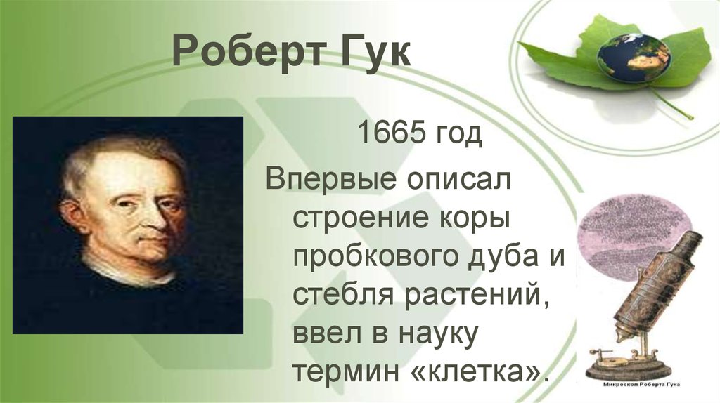 Ввел в науку. Роберт Гук 1665. 1665 Год Роберт Гук биология. В 1665 Г Роберт Гук впервые. Гук ученый биология.