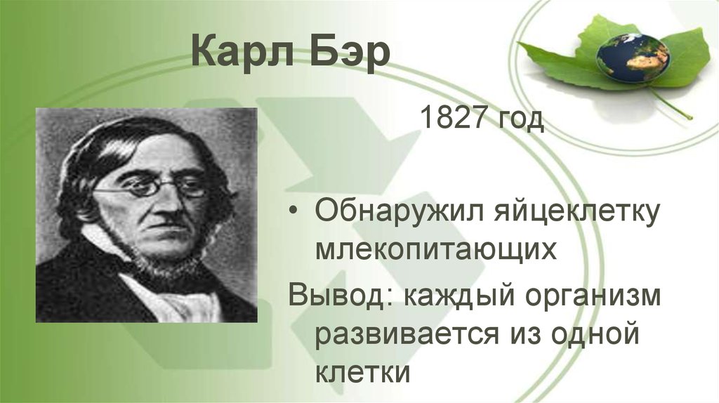 Бэр это. Карл Бэр фото. 1827 Г Карл Бэр. Карл Бэр биология. Карл Бэр заслуги.