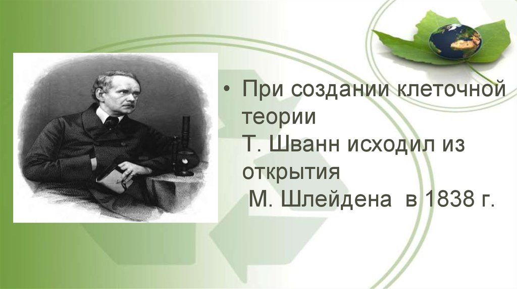 Шванн Шлейден Вирхов. Т Шванн и м Шлейден. Шванн открытия. Шлейден и Шванн клеточная теория.