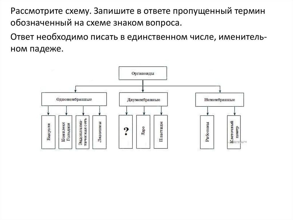 Запишите схему пропущенные