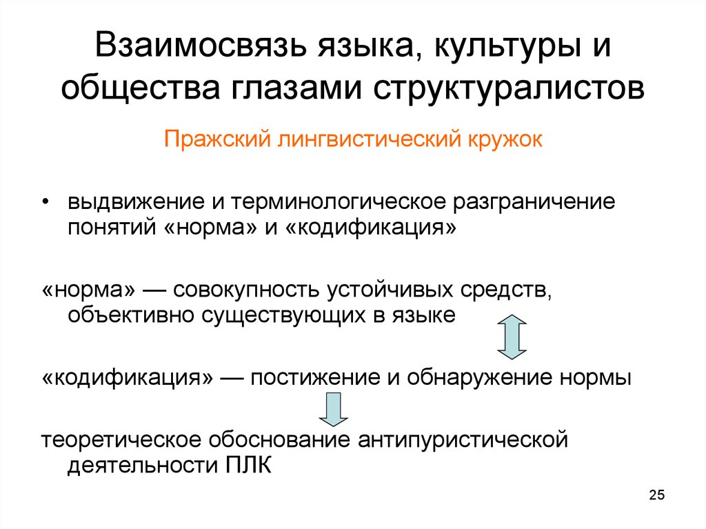 Язык взаимоотношений. Взаимосвязь языка и общества. Взаимосвязь языка и культуры. Взаимосвязь культуры и общества. Соотношения языка и общества.