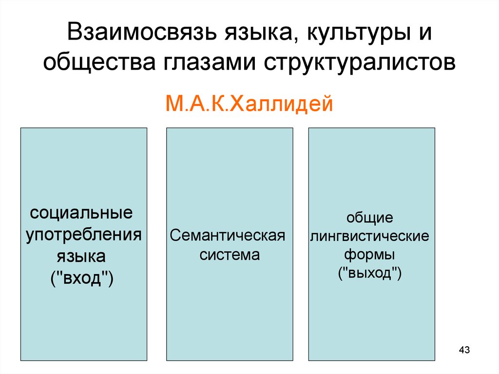 Класс языков культуры. Взаимосвязь языка и культуры. Взаимосвязь культуры и общества. Соотношение языка и культуры. Взаимосвязь языка и общества.