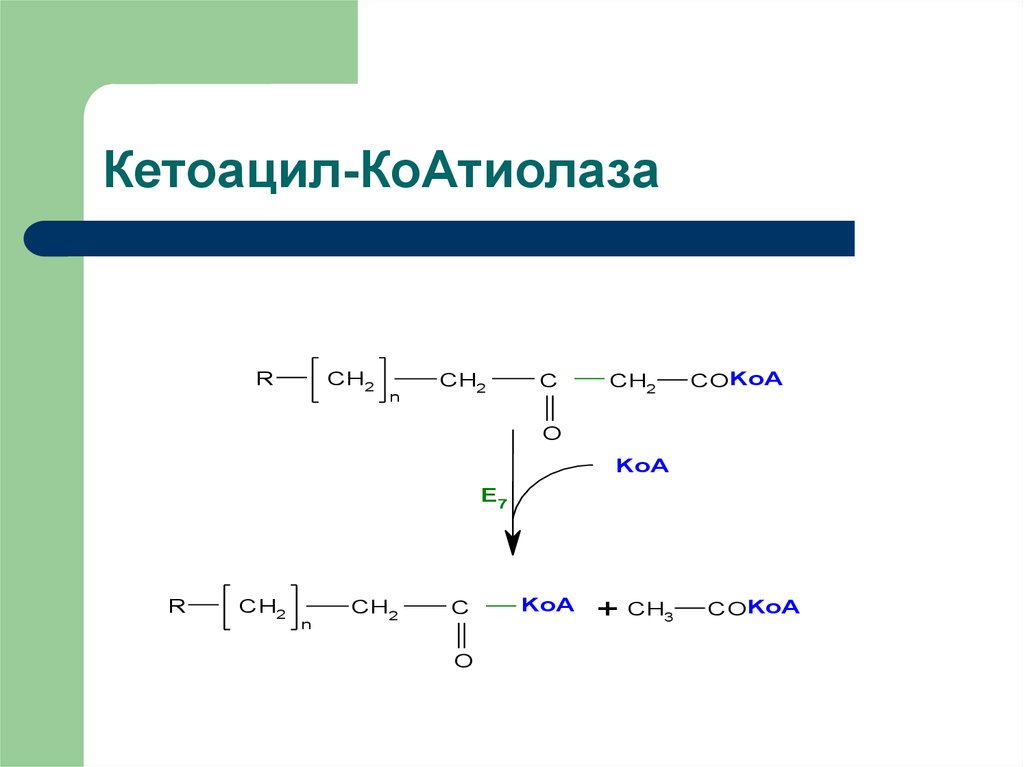 Кетоацил-КоАтиолаза