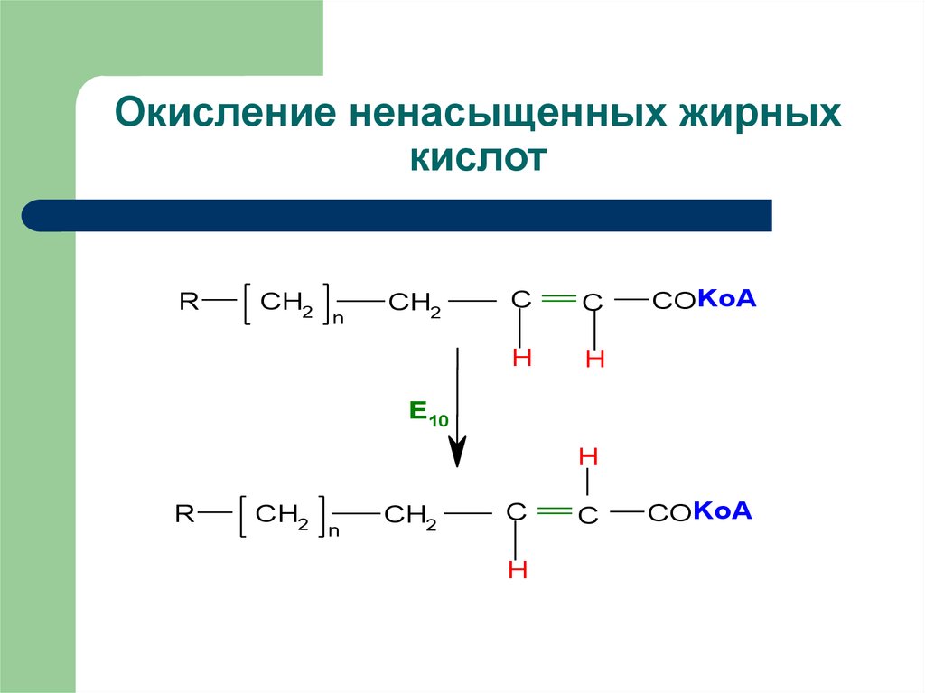 Окисление. Бета окисление олеиновой кислоты. Бета окисление полиненасыщенных жирных кислот. B окисление ненасыщенных жирных кислот. Схема пероксидное окисление ненасыщенных жирных кислот.