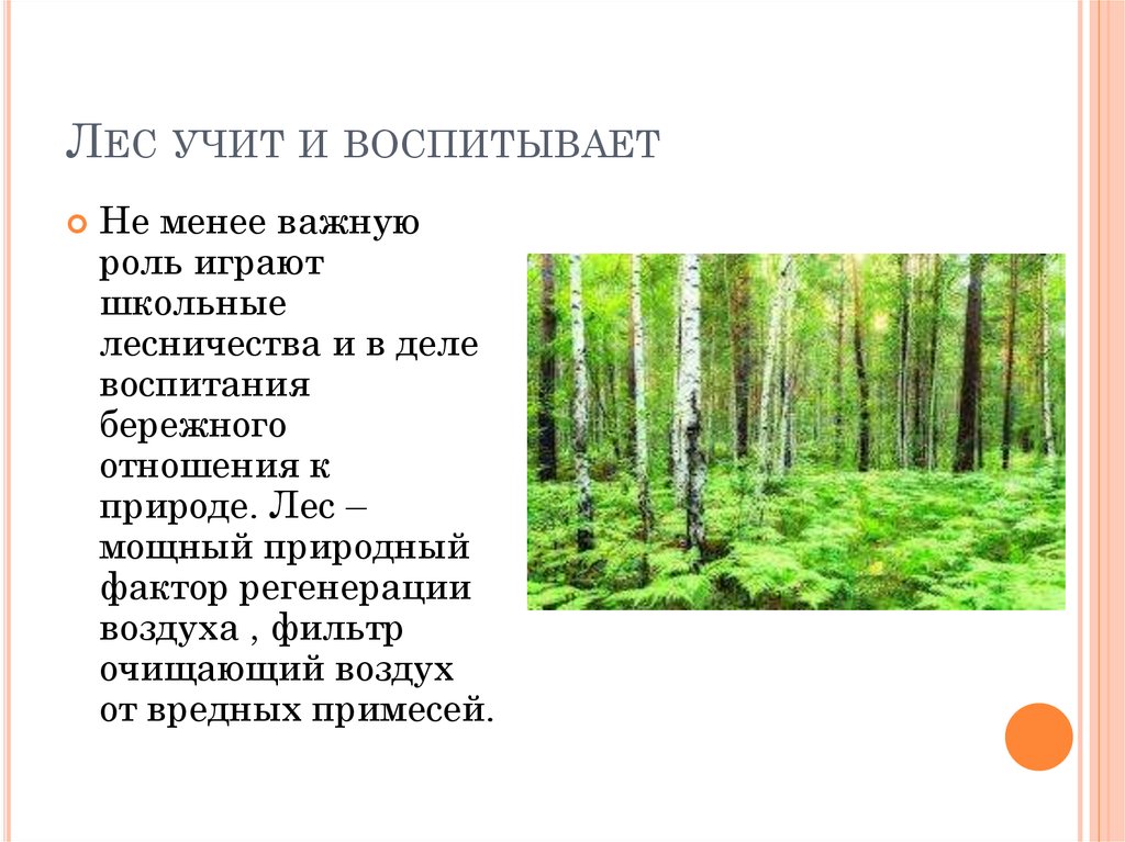 Изучение лесов. Чему учит лес. Учимся в лесу. Леса изучены на. Насколько процентов изучен лес.