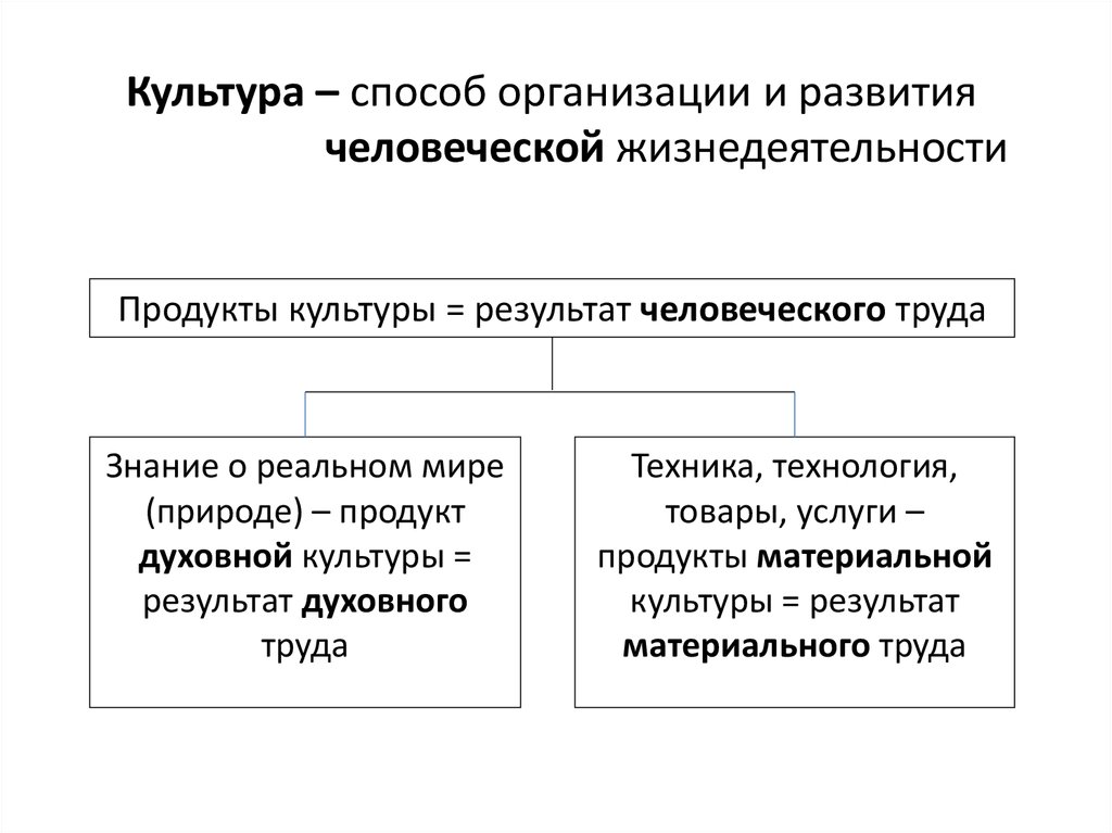 Специфический способ организации и развития человеческой жизнедеятельности