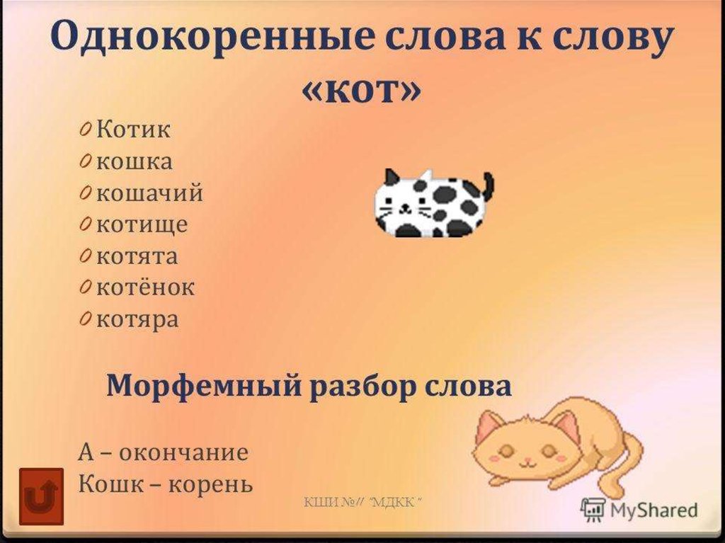 Однокоренные слова к слову «кот»