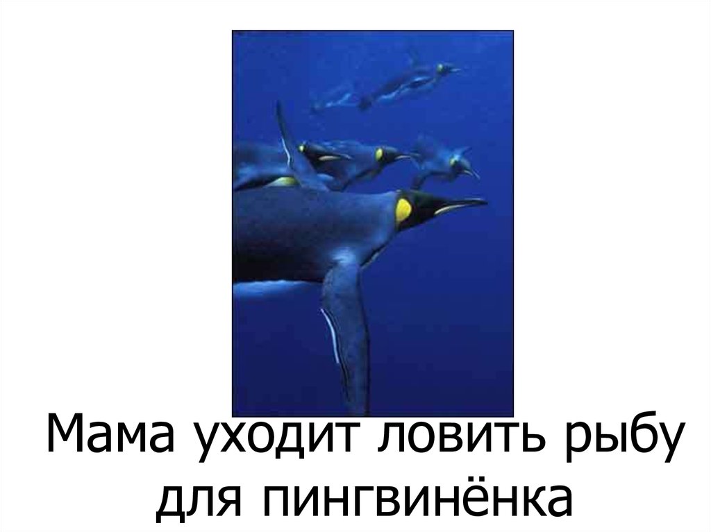 Мама уходит ловить рыбу для пингвинёнка