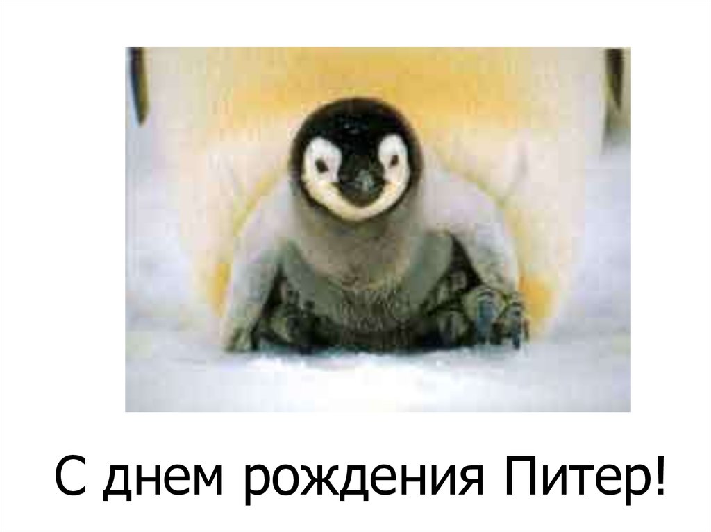 С днем рождения Питер!