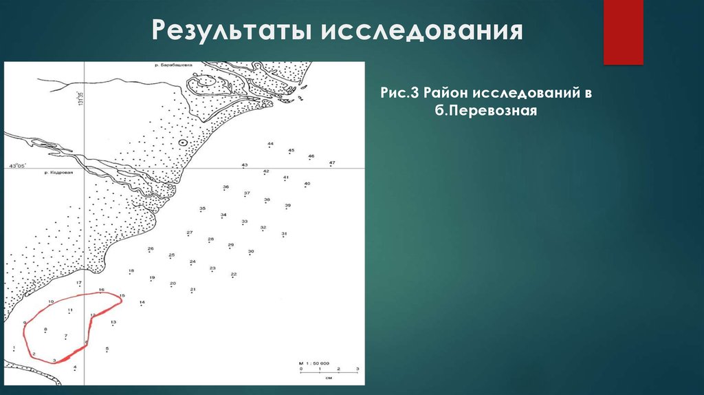 Карта течений залива петра великого