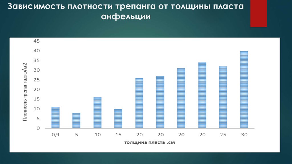 Трепанги по дальневосточному технологическая схема