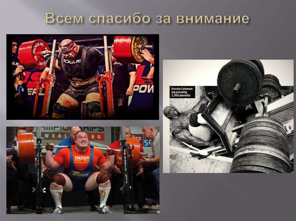 Всем спасибо за внимание