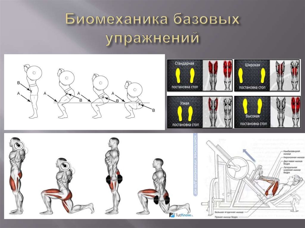 Проект биомеханика дети