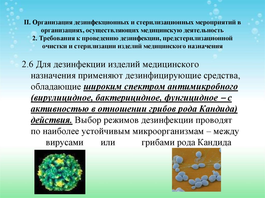 План проведения дезинфекционных мероприятий в очаге