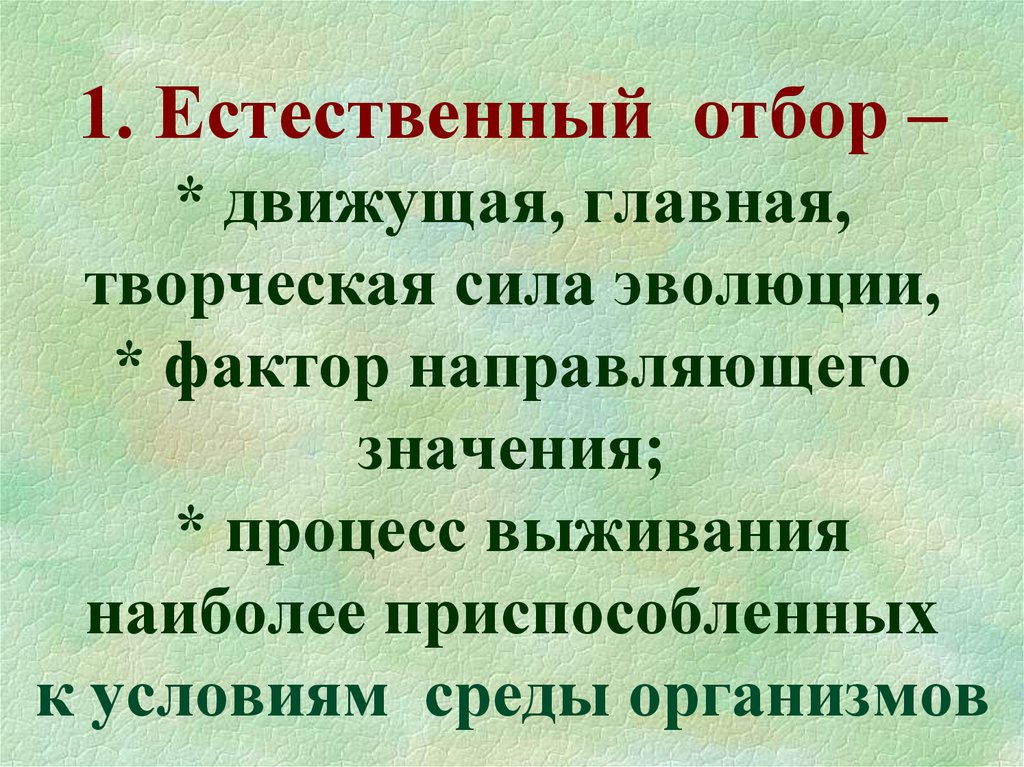 Движущие силы эволюции схема естественный отбор