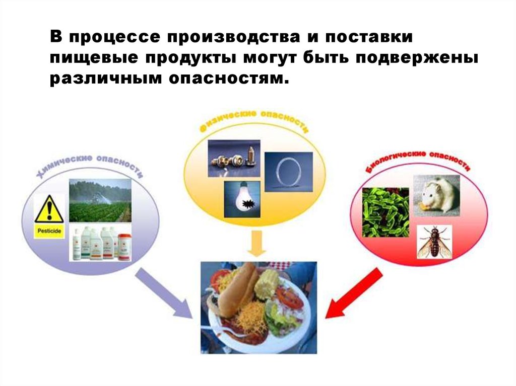 Контроль продуктов. Контроль за качеством продуктов питания. Контроль качества воздуха воды продуктов питания. Методы контроля качества продуктов питания. Контроль качества продуктов питания экология.