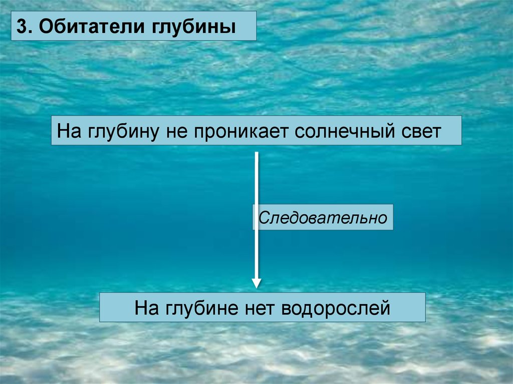 Жизнь в морях и океанах 5 класс. Жизнь организмов в морях и океанах. Условия в глубинах моря. Жизненные условия глубины. Условия жизни в глубине моря.