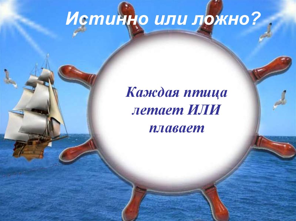 Истинно или ложно?