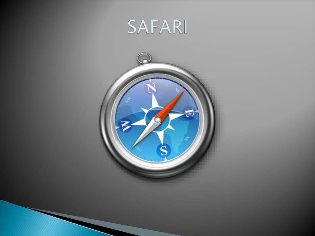 SAFARI
