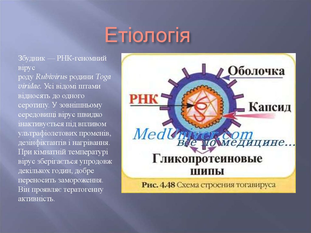 Етіологія