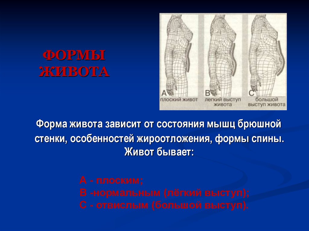 Живот бывает. Форма живота. Живот ладьевидной формы. Индивидуальные и возрастные различия форм живота.. Форма живота бывает.