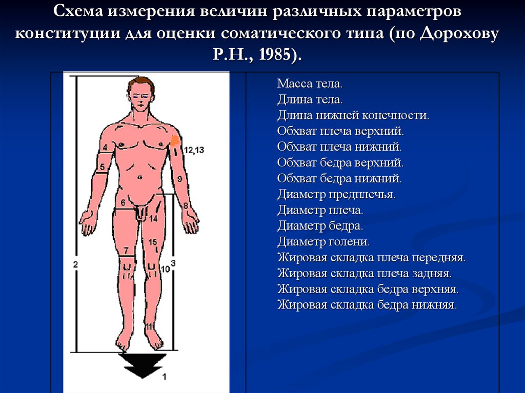 Различных параметров. Методика определения физического состояния человека. Оценка физ состояния человека это. Измерение показателей физического тела. Оценка физического состояния по Пироговой.