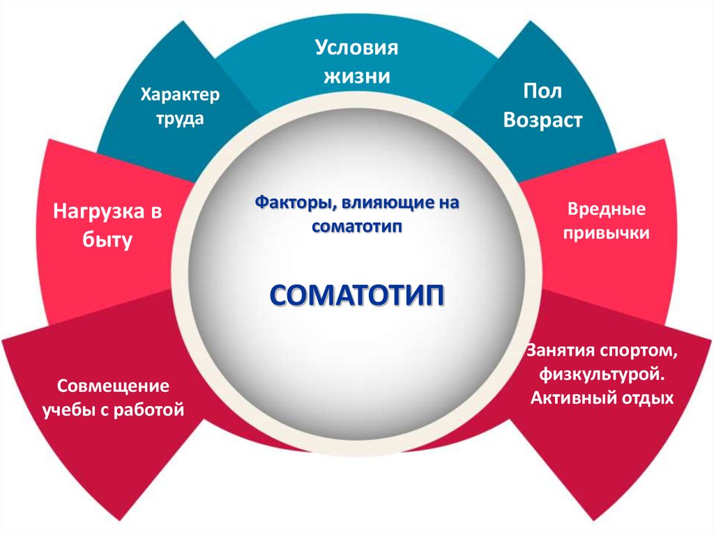 Условия человека. Пол Возраст характер труда. Факторы которые влияют на совмещение учебы и ра.