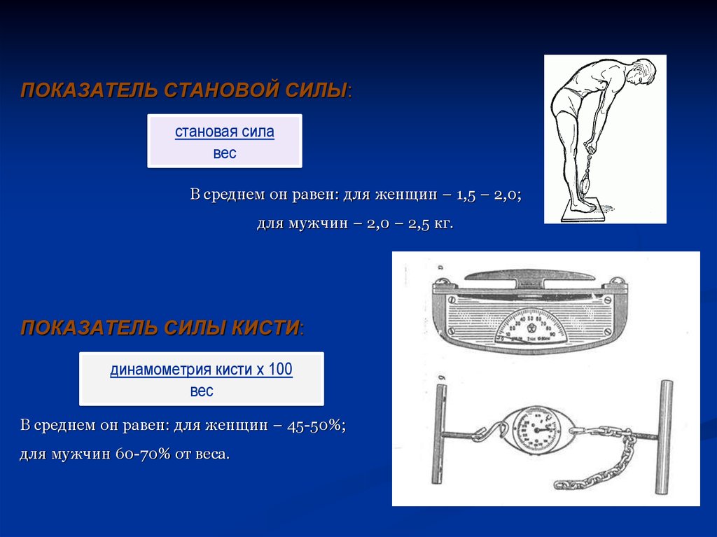 Показатель силы. Становая динамометрия показатели. Становая сила средний показатель. Становая динамометрия норма. Становая сила норма.