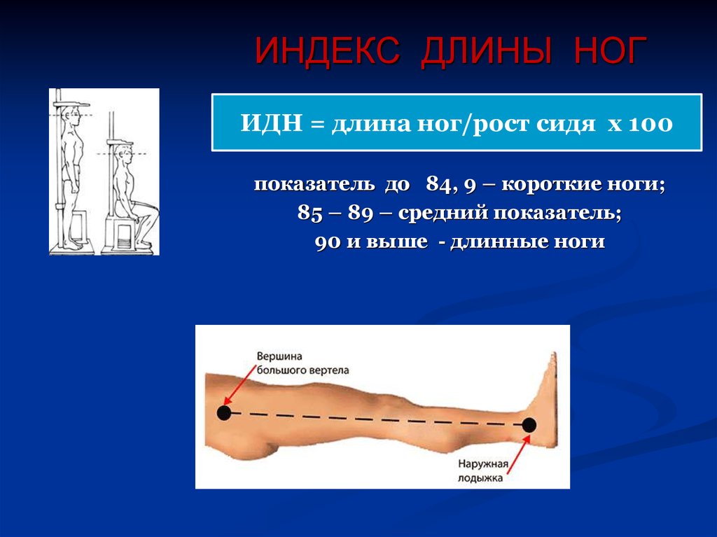 Показатель длины. Длина ног. Длина голени. Измерение длины ног. Как определить длину ног.