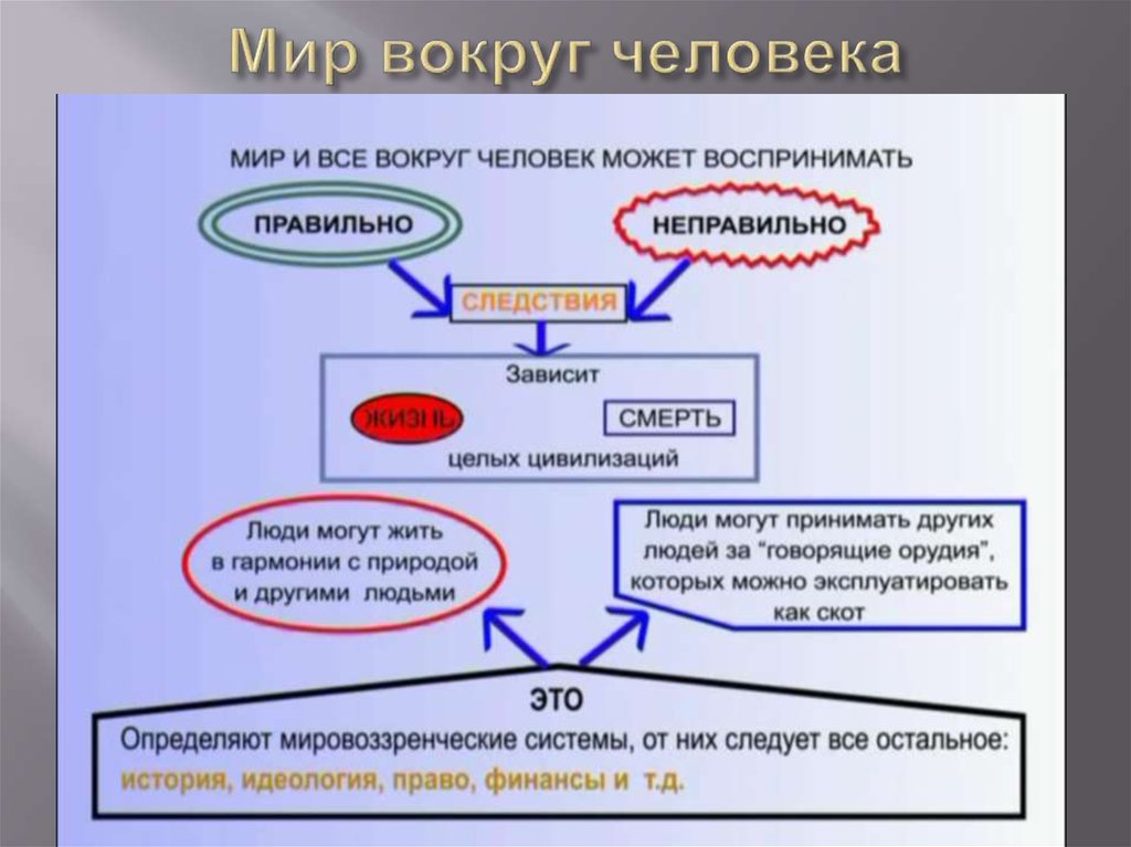 Мир вокруг человека