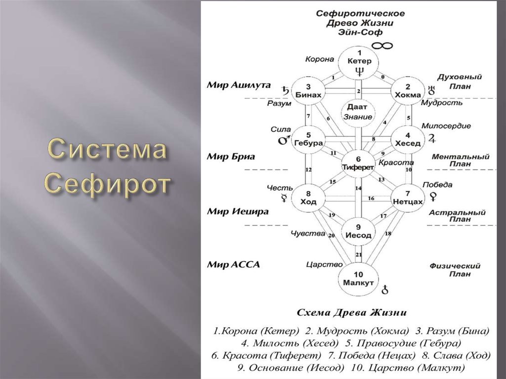 Бина значение. Каббалистическое Древо Сефирот. Древо Сефирот кетер. Древо жизни, Древо Сефирот. Схема дерева Сефирот.