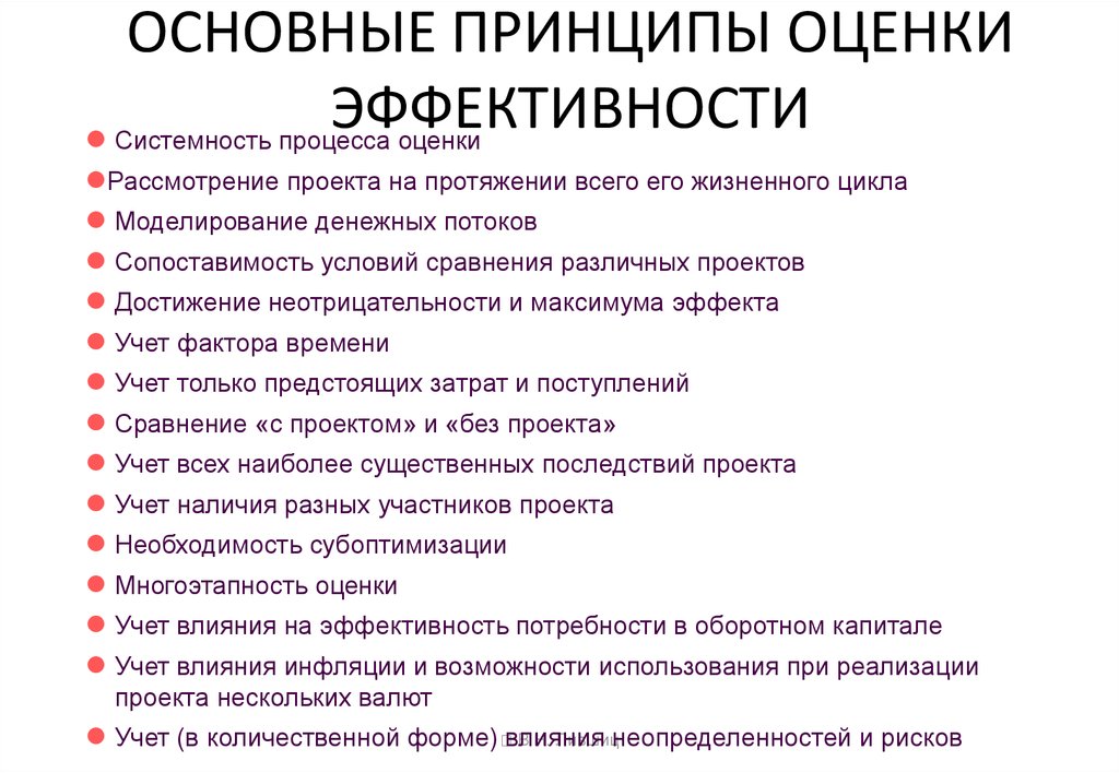 Наиболее общие принципы оценки эффективности проектов которые мало зависят от специфики