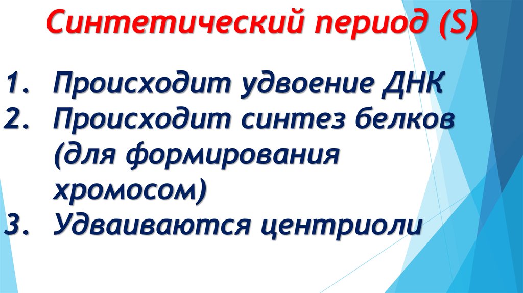 Синтетический период. Синтетический период s. Синтетический период творчества. Синтетический период это период.