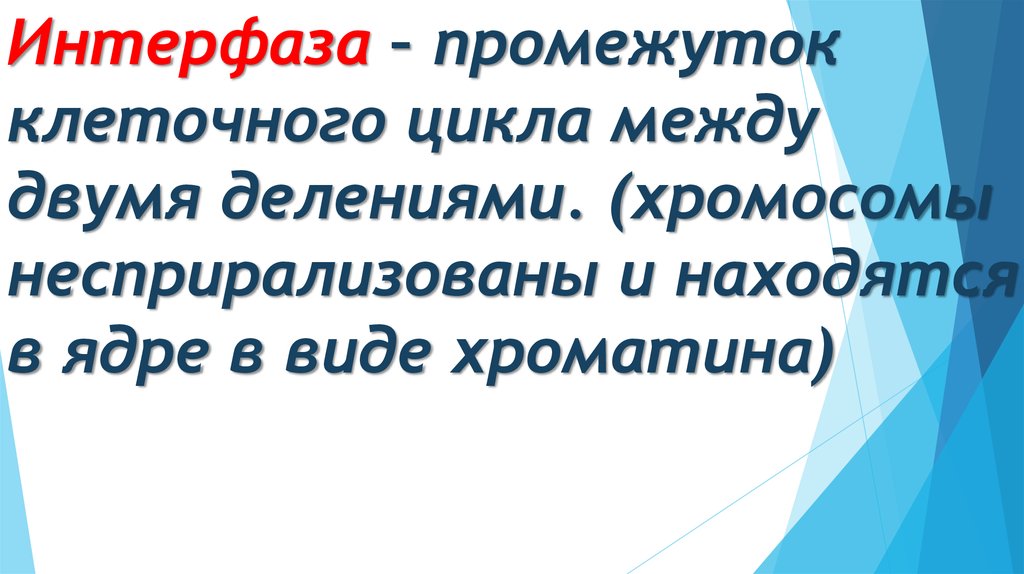 Интерфаза – промежуток клеточного цикла между двумя делениями. (хромосомы несприрализованы и находятся в ядре в виде хроматина)