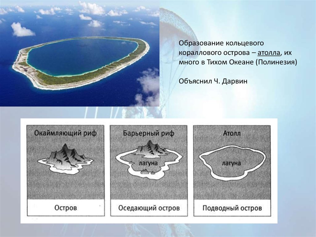 Образование атолла схема