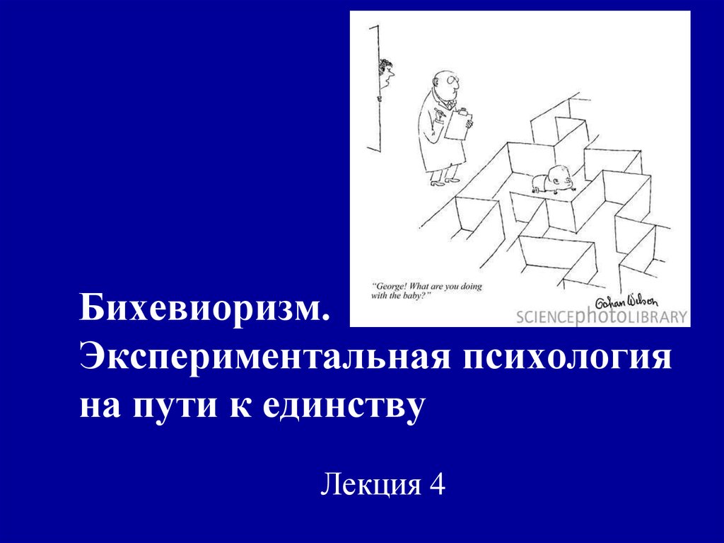 Тест на пути к единству. Бихевиоризм лекция. Биохервизм психология эксперименты. Экспериментальная психология. Бихевиоризм картинки для презентации