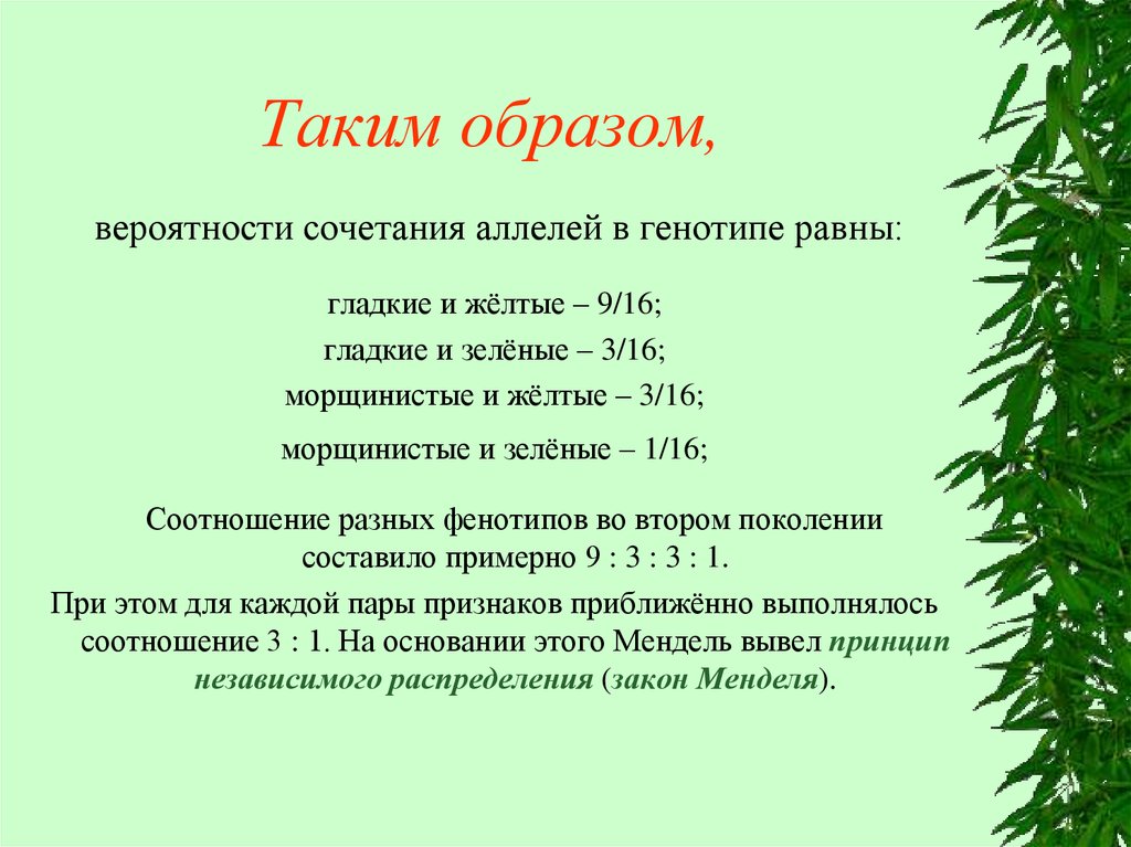 Таким образом,