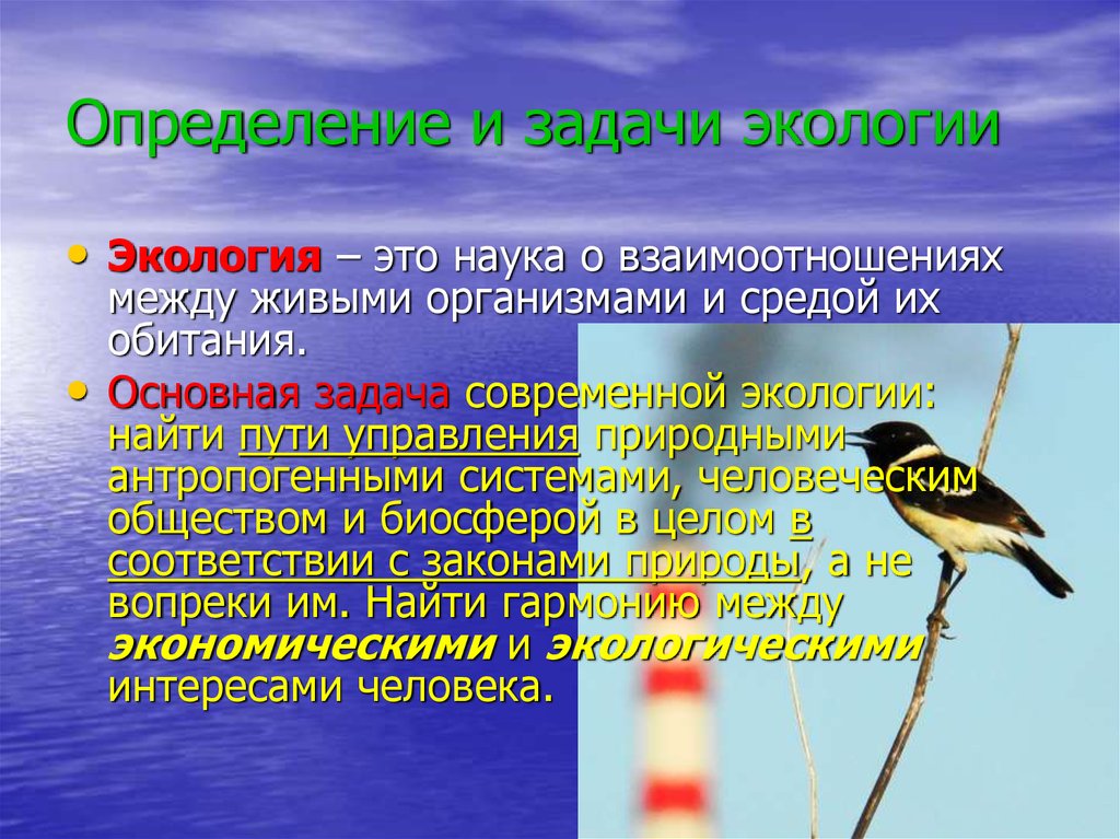 Задачи экологии. Экология задачи экологии. Определение и задачи экологии. Определение ,предмет и задачи экологии. Задачи экологии презентация.